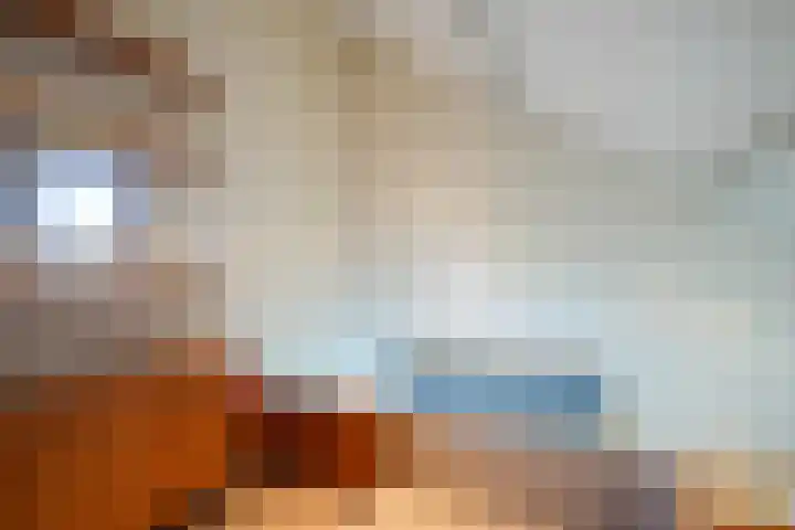Toon Hermanssingel 5 Sittard thumbnail 53