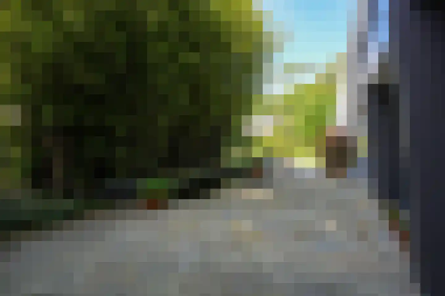 Toon Hermanssingel 5 Sittard thumbnail 55