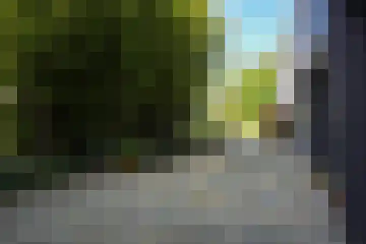 Toon Hermanssingel 5 Sittard thumbnail 56