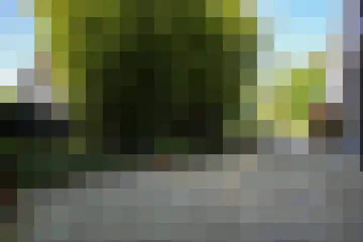 Toon Hermanssingel 5 Sittard thumbnail 57