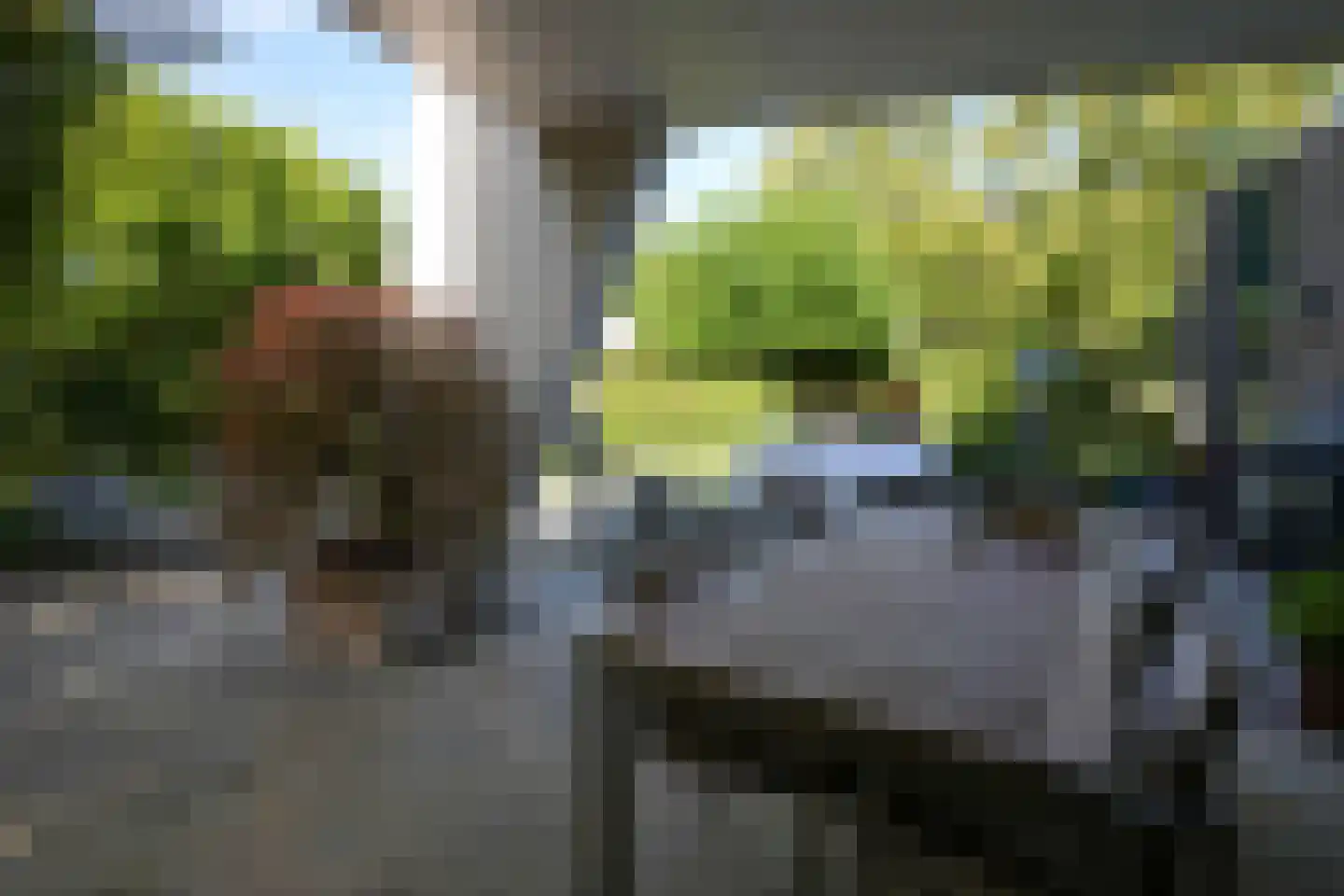 Toon Hermanssingel 5 Sittard thumbnail 58