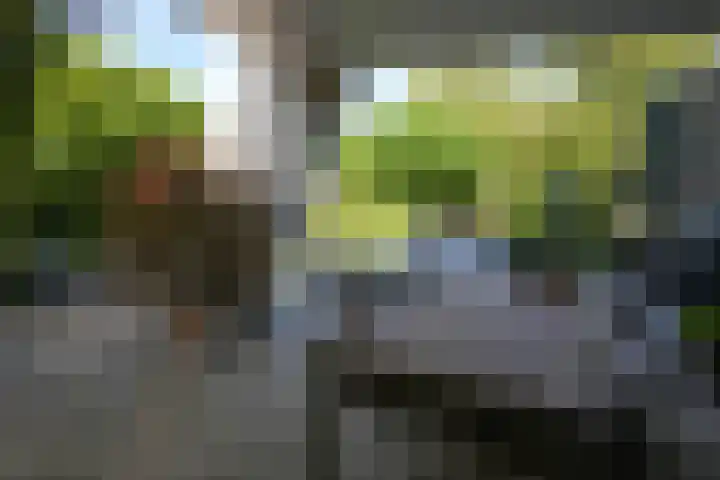 Toon Hermanssingel 5 Sittard thumbnail 59