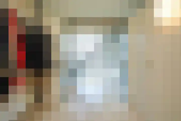 Toon Hermanssingel 5 Sittard thumbnail 6