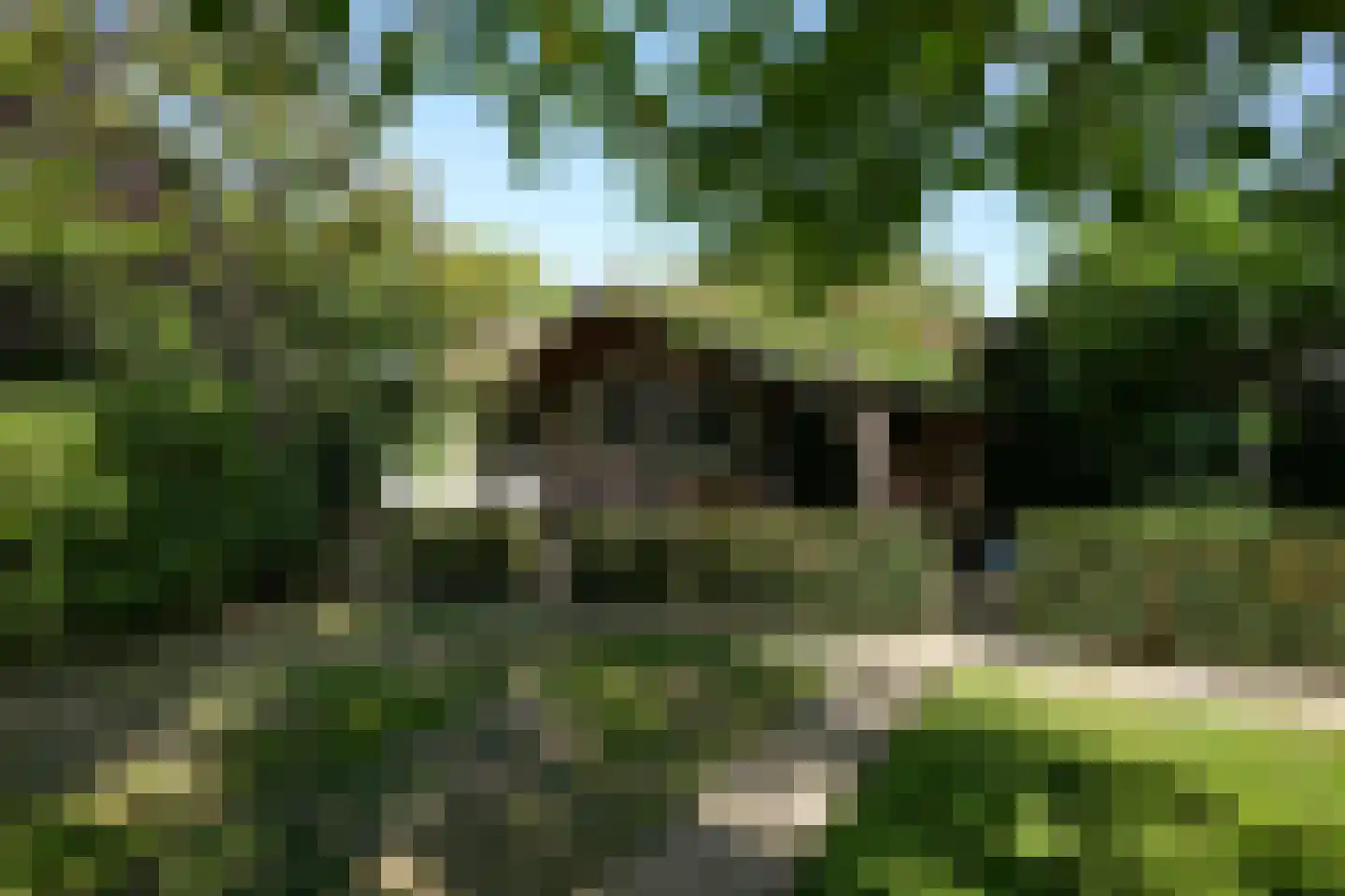 Toon Hermanssingel 5 Sittard thumbnail 62