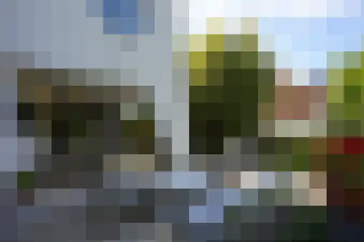 Toon Hermanssingel 5 Sittard thumbnail 62