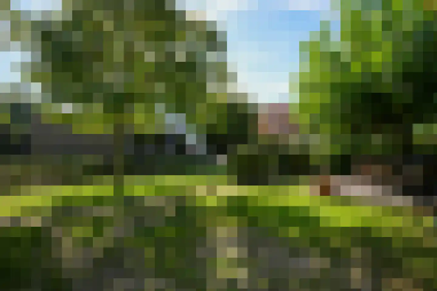 Toon Hermanssingel 5 Sittard thumbnail 63