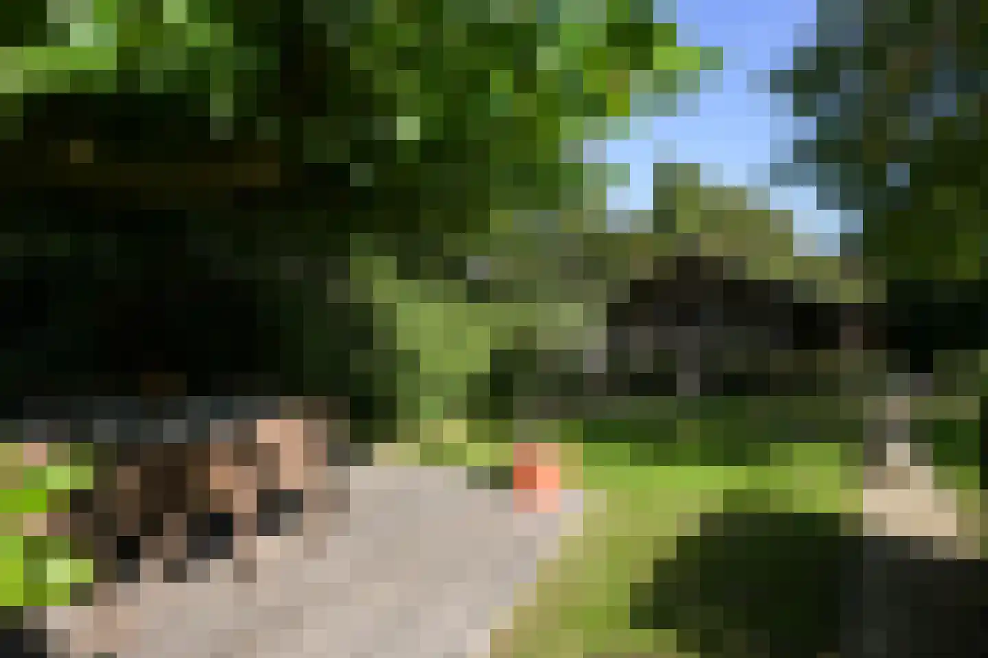 Toon Hermanssingel 5 Sittard thumbnail 64