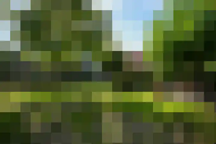 Toon Hermanssingel 5 Sittard thumbnail 64