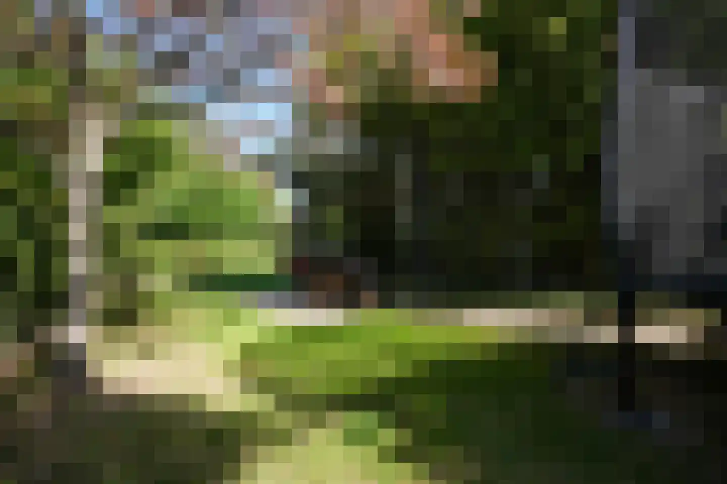 Toon Hermanssingel 5 Sittard thumbnail 67