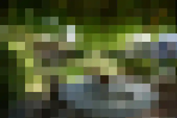 Toon Hermanssingel 5 Sittard thumbnail 67