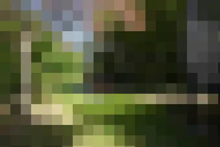 Toon Hermanssingel 5 Sittard thumbnail 68