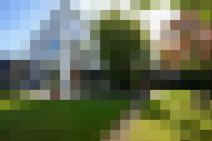 Toon Hermanssingel 5 Sittard thumbnail 69