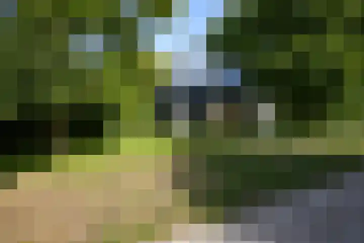 Toon Hermanssingel 5 Sittard thumbnail 70