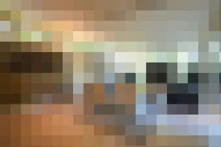 Toon Hermanssingel 5 Sittard thumbnail 9