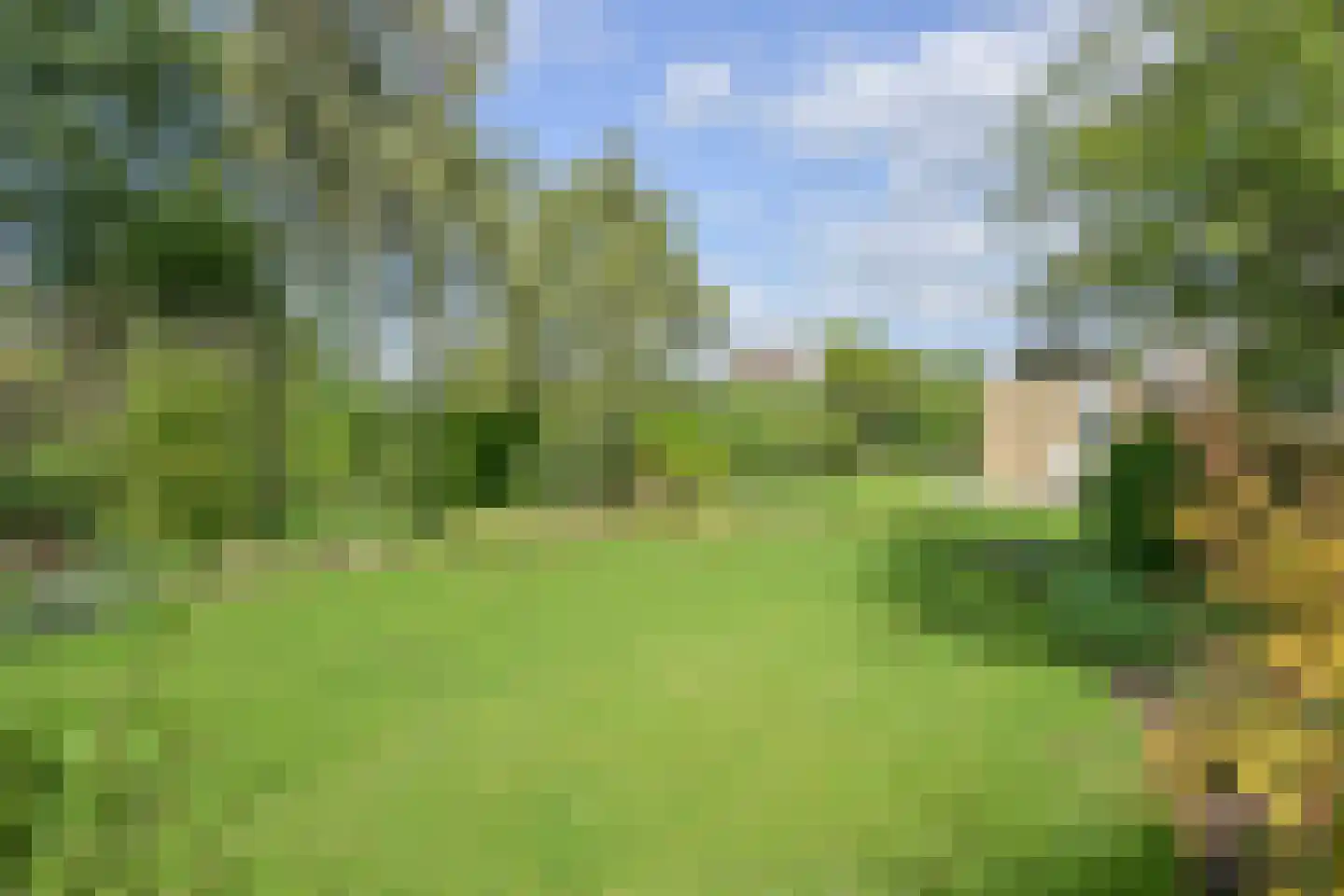 Toon Hermanssingel 68 A Sittard thumbnail 7