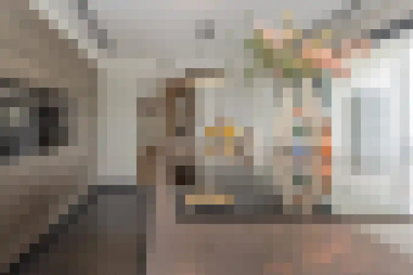 Toon Hermanssingel 8 Sittard thumbnail 18