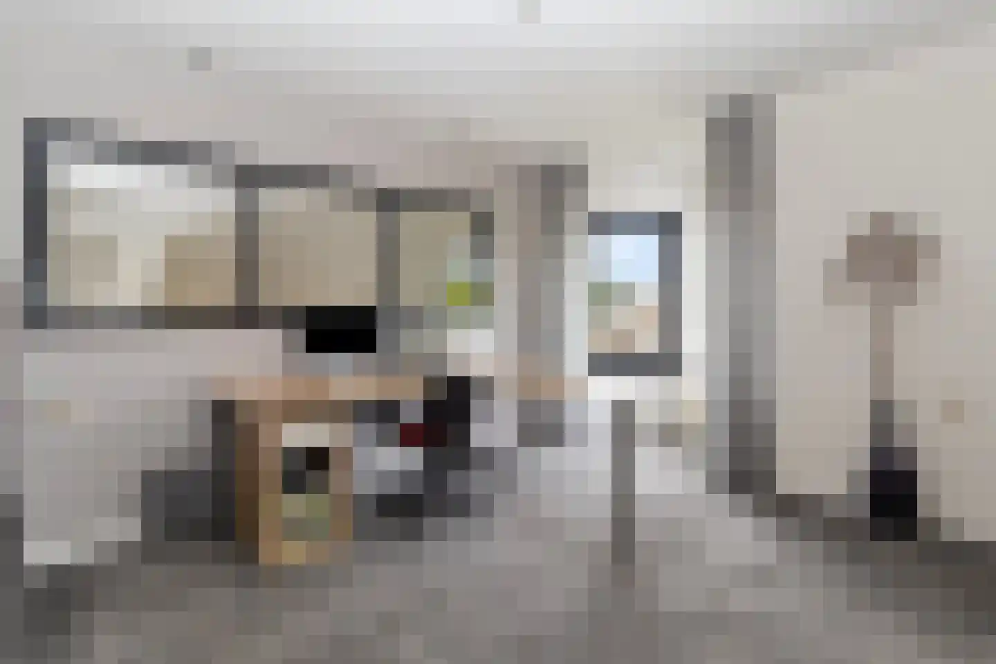 Toon Hermanssingel 8 Sittard thumbnail 27