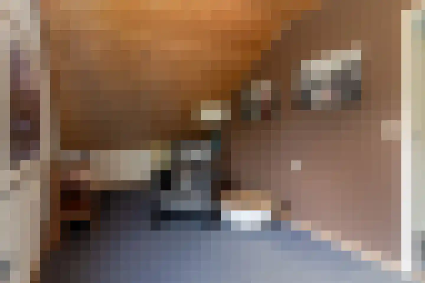 Toon Hermanssingel 8 Sittard thumbnail 36