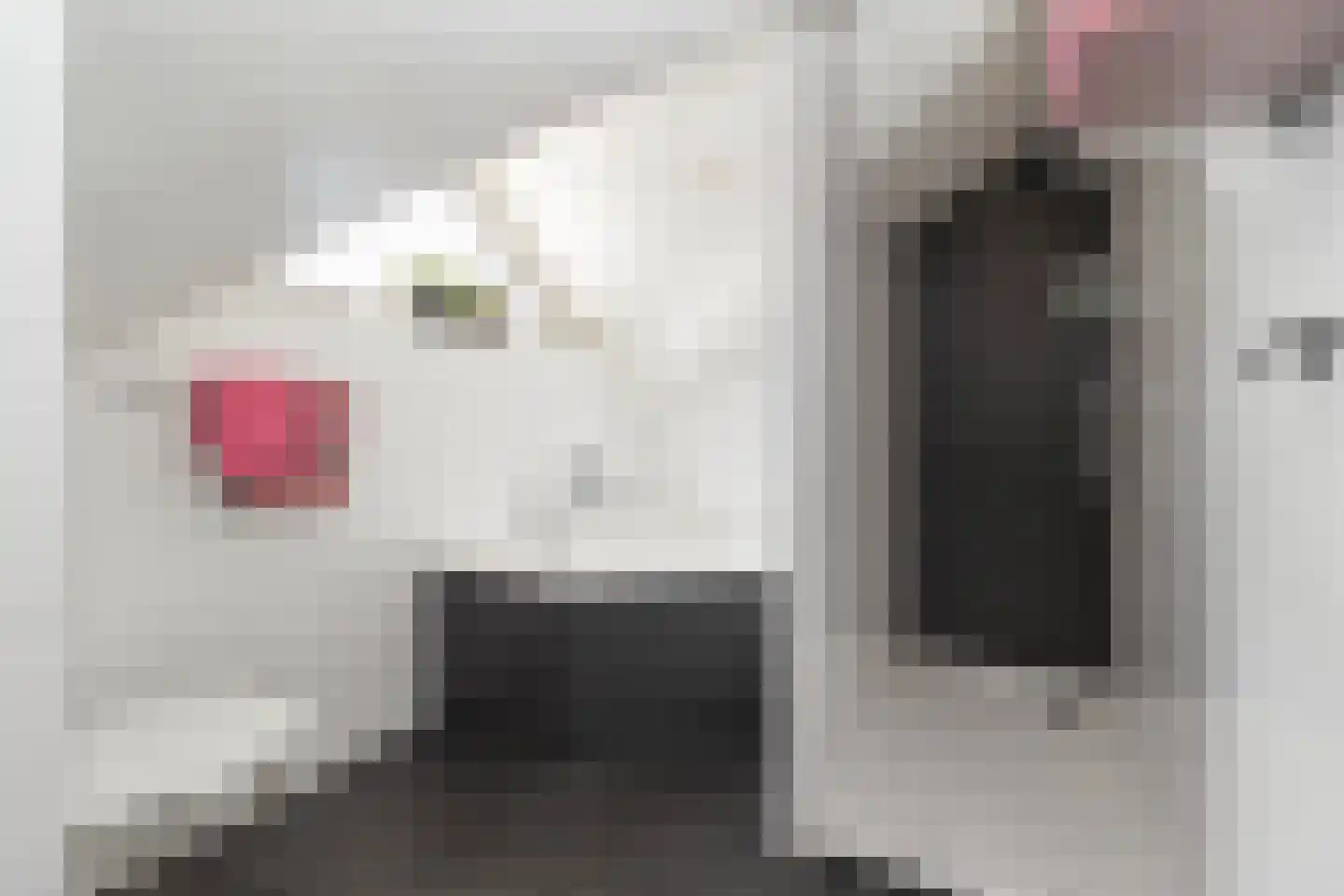 Toon Hermanssingel 8 Sittard thumbnail 37
