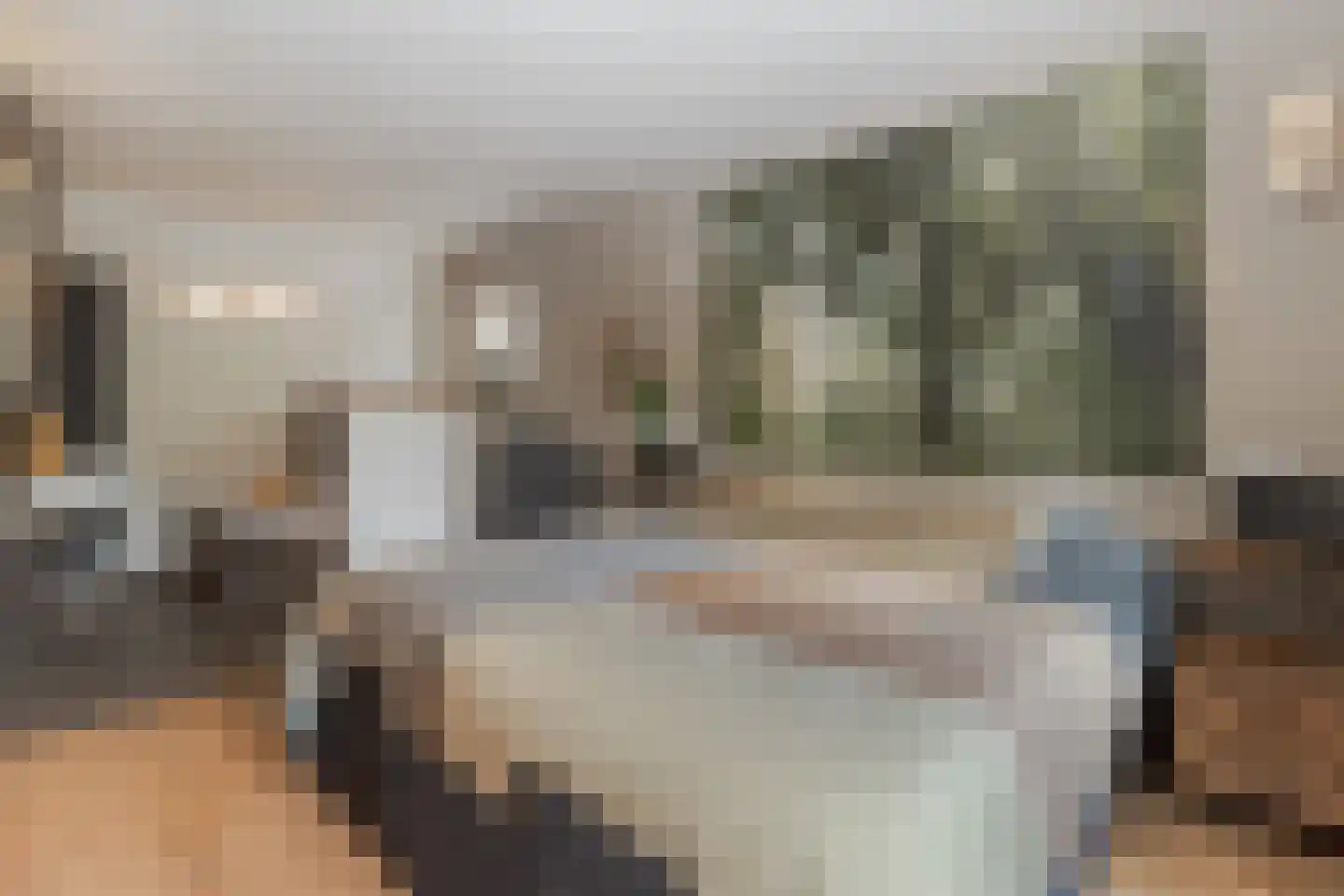 Toon Hermanssingel 8 Sittard thumbnail 4