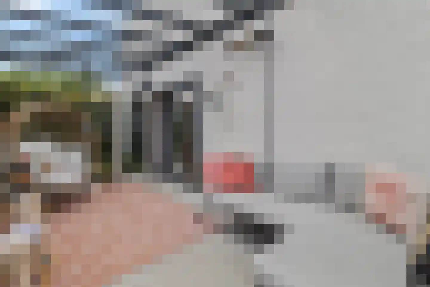 Toon Hermanssingel 8 Sittard thumbnail 42