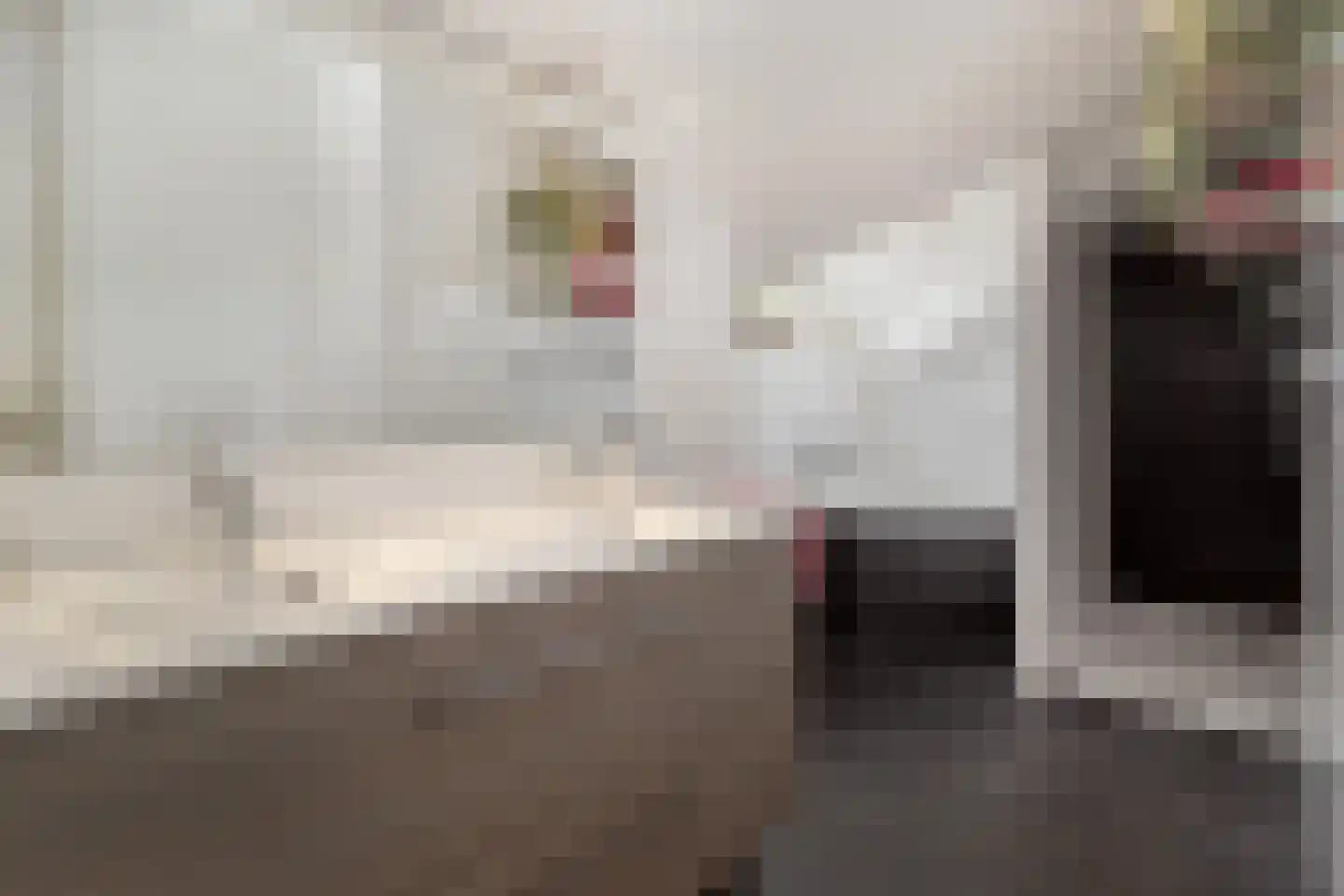 Toon Hermanssingel 8 Sittard thumbnail 5
