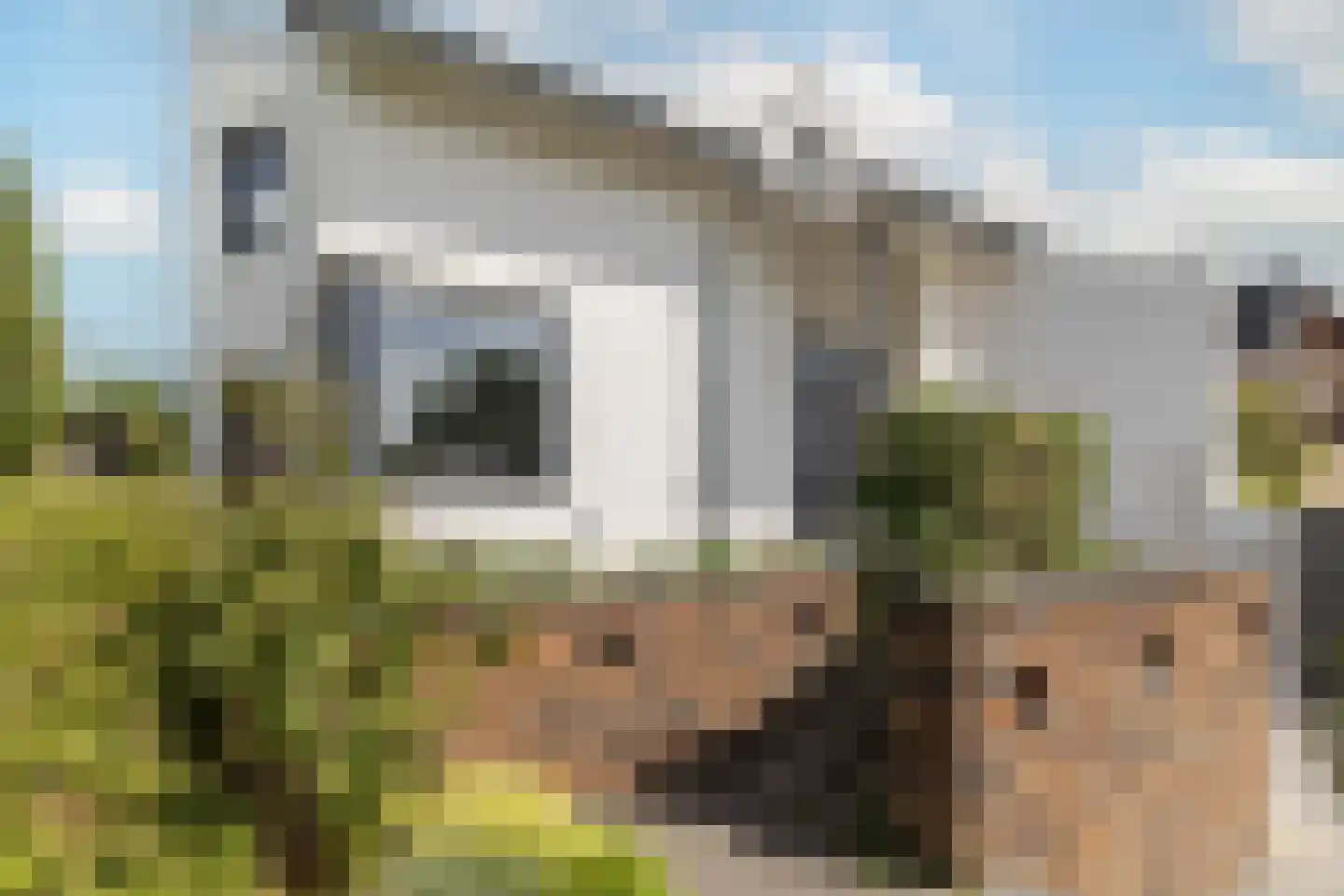 Toon Hermanssingel 8 Sittard thumbnail 8