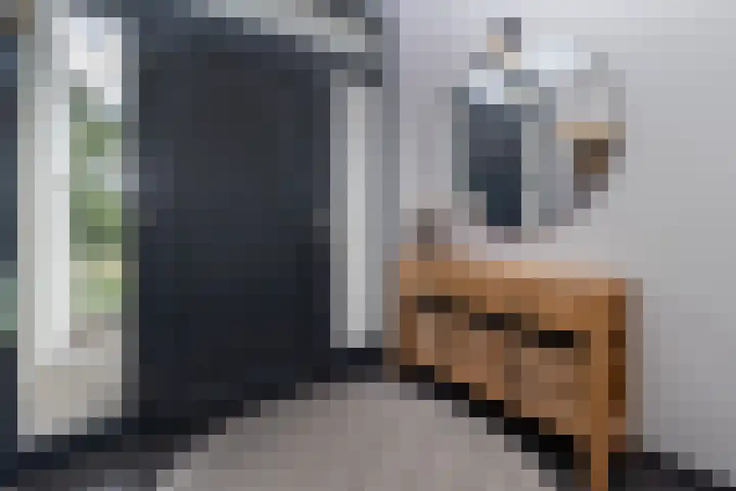 Toon Hermanssingel 8 Sittard thumbnail 9