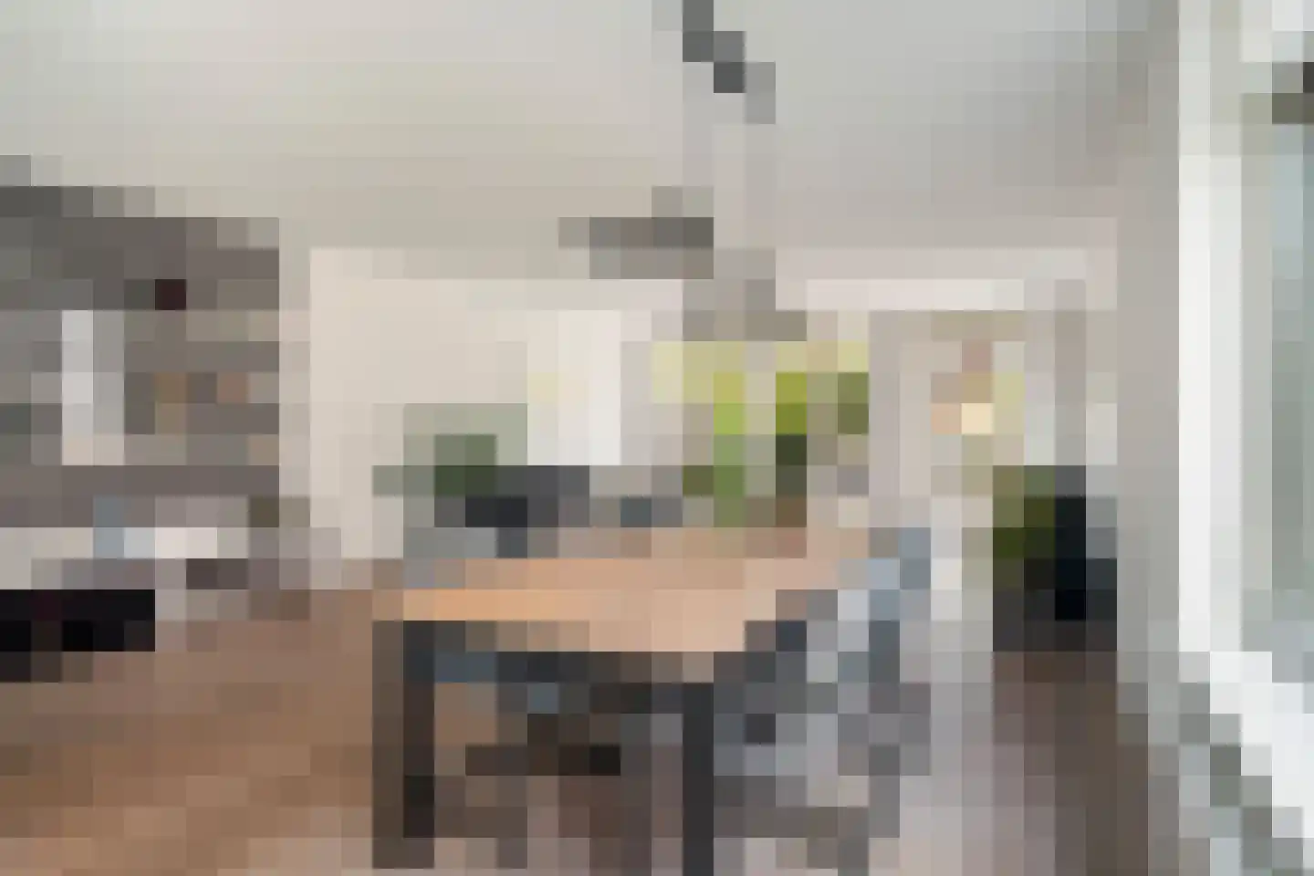 Toon Kortoomssingel 21 Berkel en Rodenrijs thumbnail 14