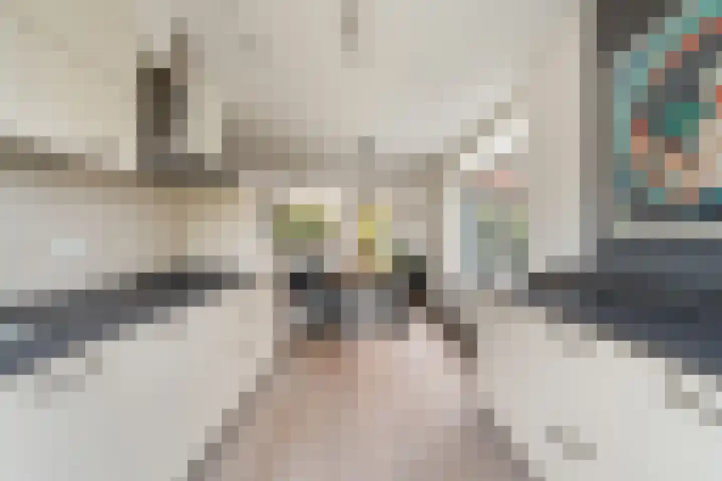 Toon Kortoomssingel 21 Berkel en Rodenrijs thumbnail 15