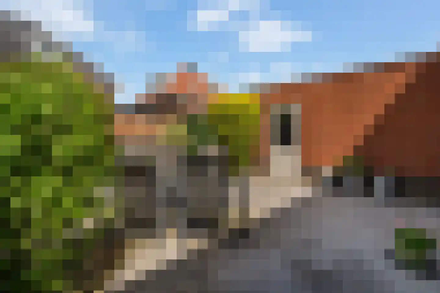 Toon Kortoomssingel 21 Berkel en Rodenrijs thumbnail 27