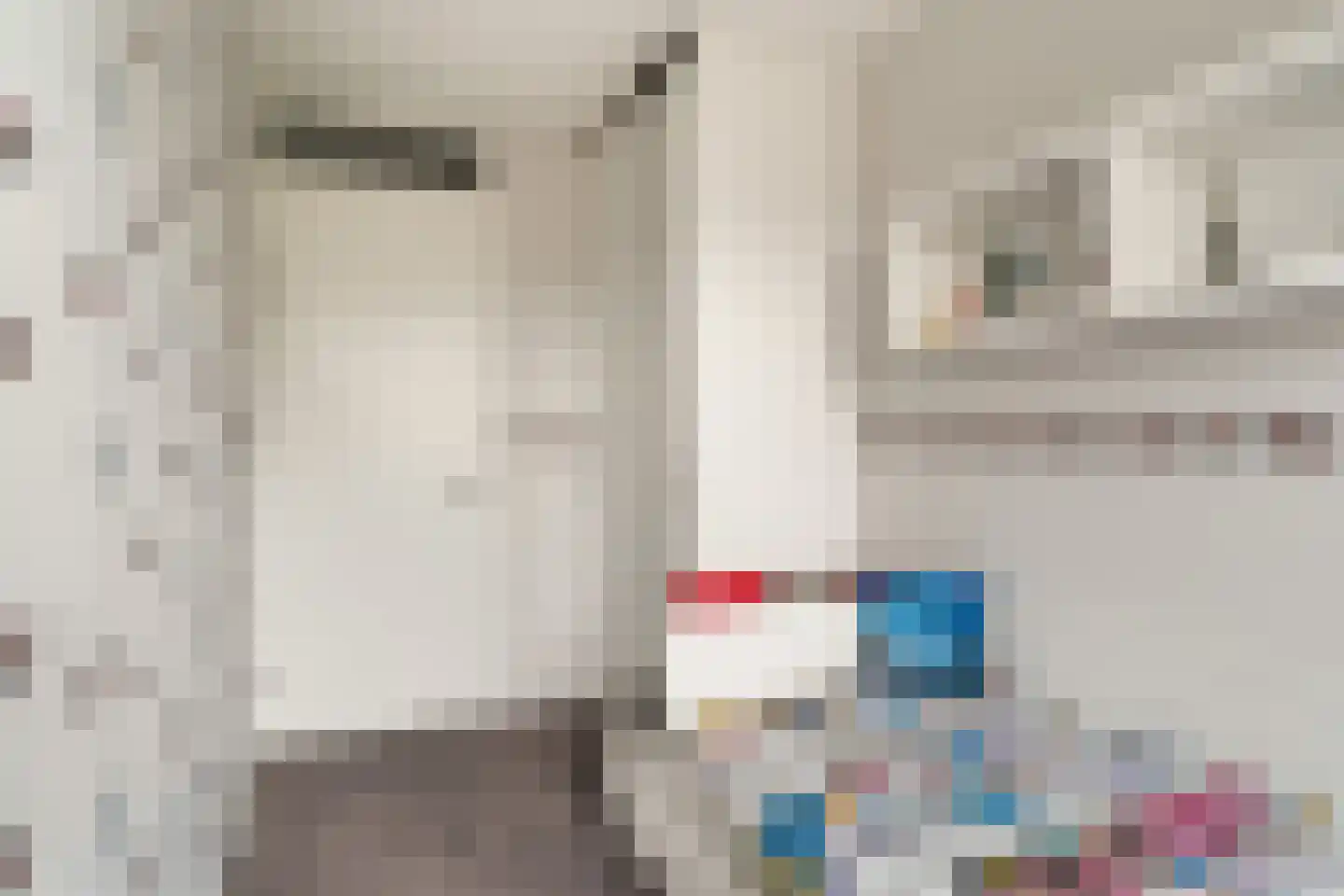 Toon Kortoomssingel 21 Berkel en Rodenrijs thumbnail 39