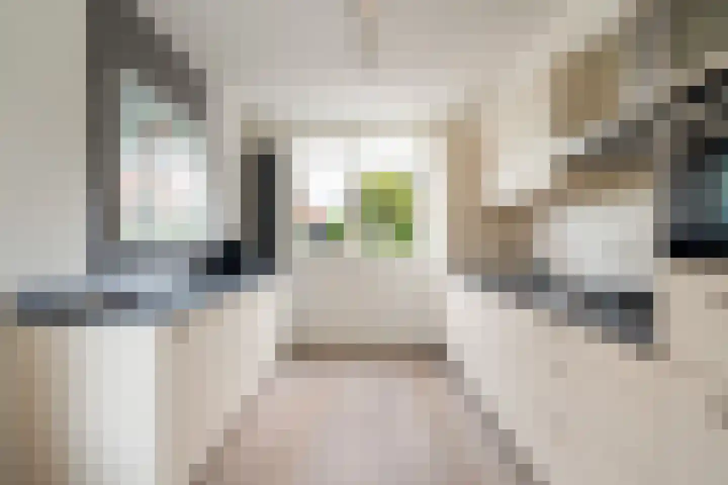 Toon Kortoomssingel 21 Berkel en Rodenrijs thumbnail 4