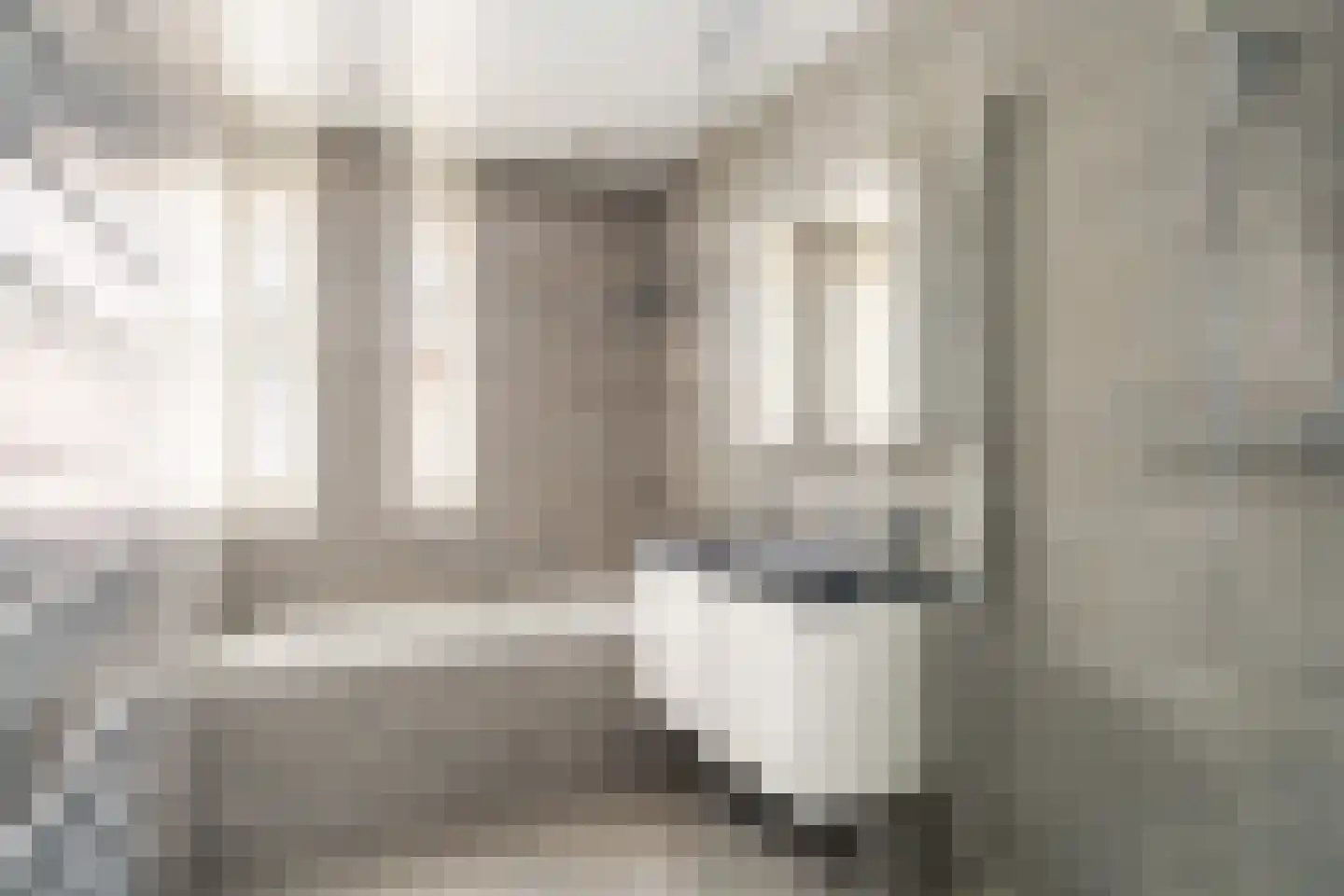 Toon Kortoomssingel 21 Berkel en Rodenrijs thumbnail 41