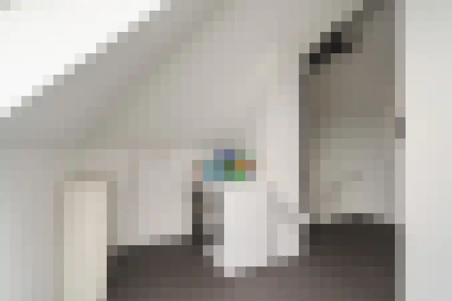 Toon Kortoomssingel 21 Berkel en Rodenrijs thumbnail 49