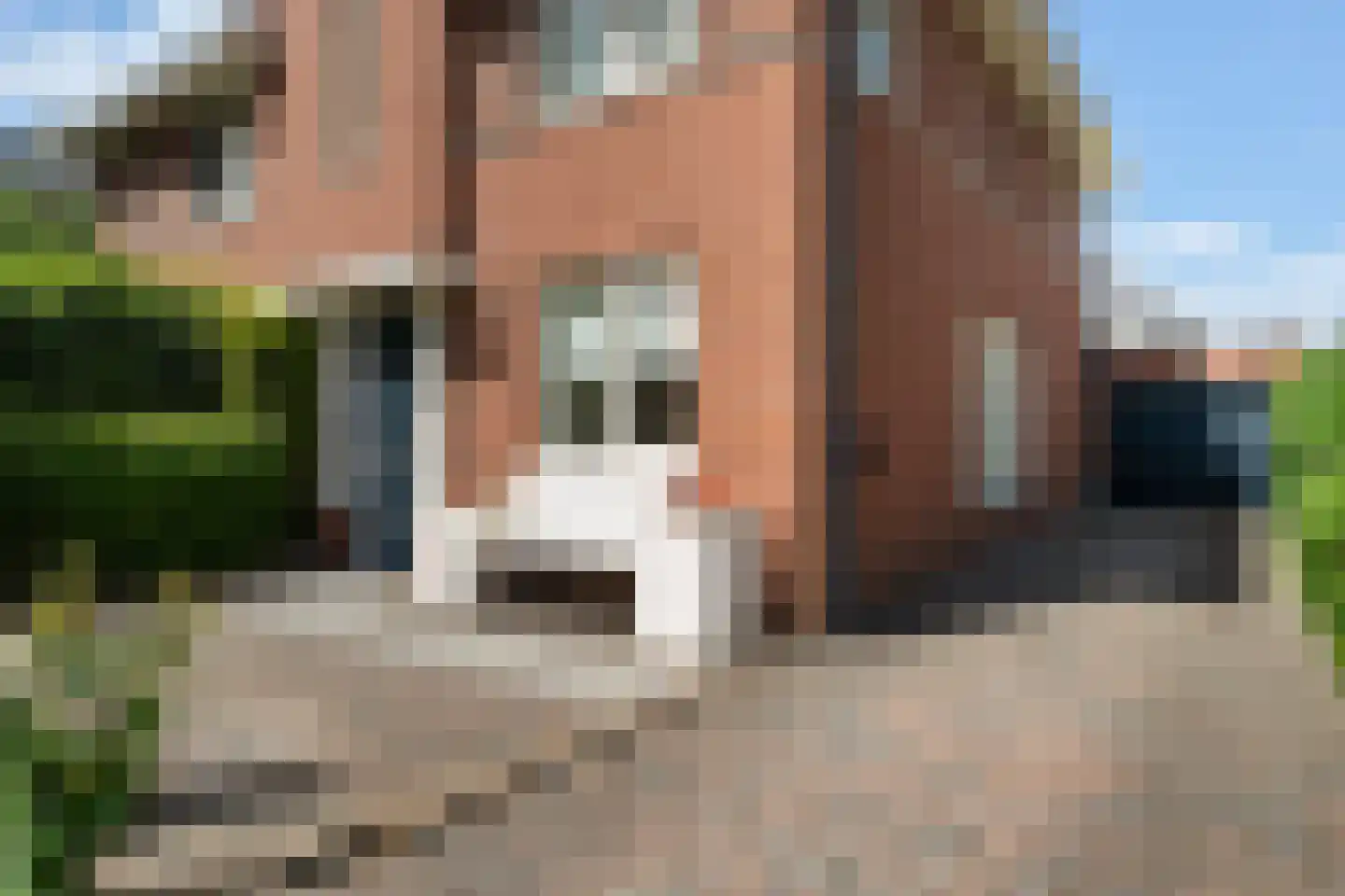 Toon Kortoomssingel 21 Berkel en Rodenrijs thumbnail 7