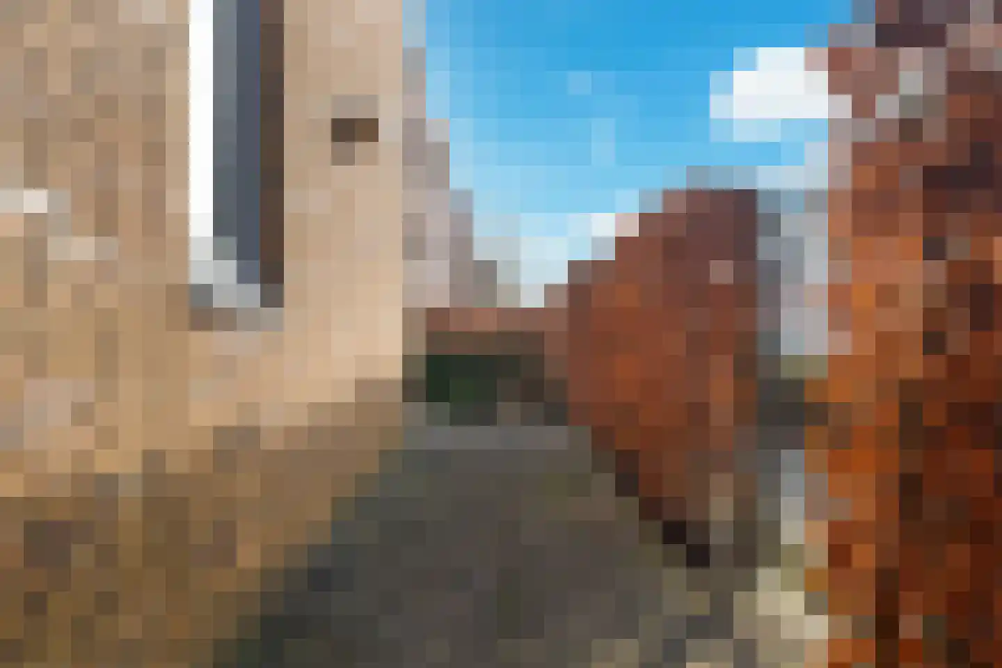 Toon Kortoomsstraat 2 Waalwijk thumbnail 15