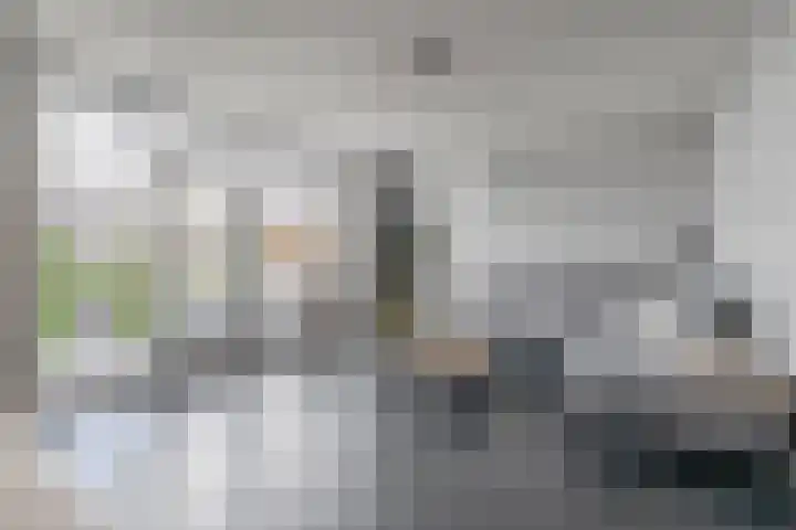 Toon Kortoomsstraat 22 Waalwijk thumbnail 9