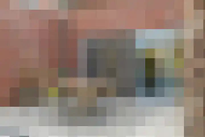 Toon Reijndersstraat 19 Broekhuizenvorst thumbnail 29