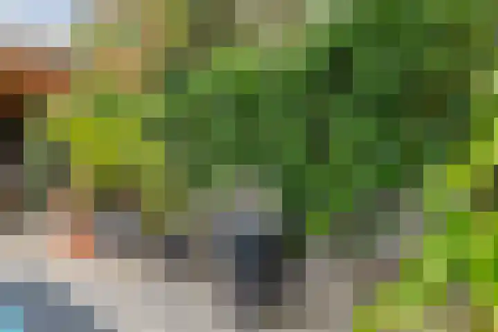 Toon Reijndersstraat 19 Broekhuizenvorst thumbnail 33