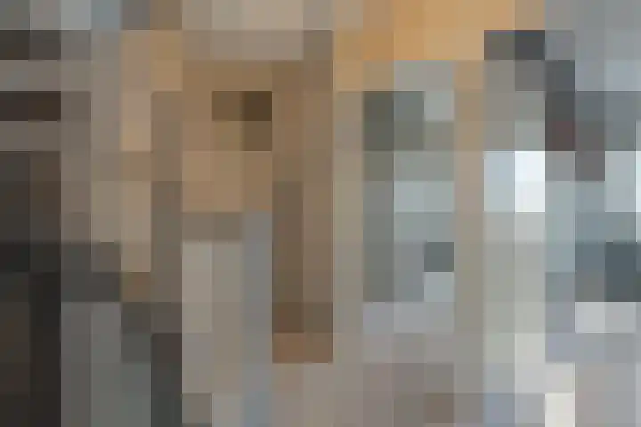 Toon Slurinkhof 10 Kampen thumbnail 17