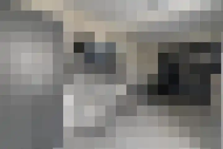 Toon Slurinkhof 10 Kampen thumbnail 31