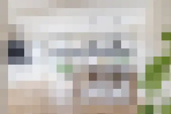 Toon Slurinkhof 30 Kampen thumbnail 10