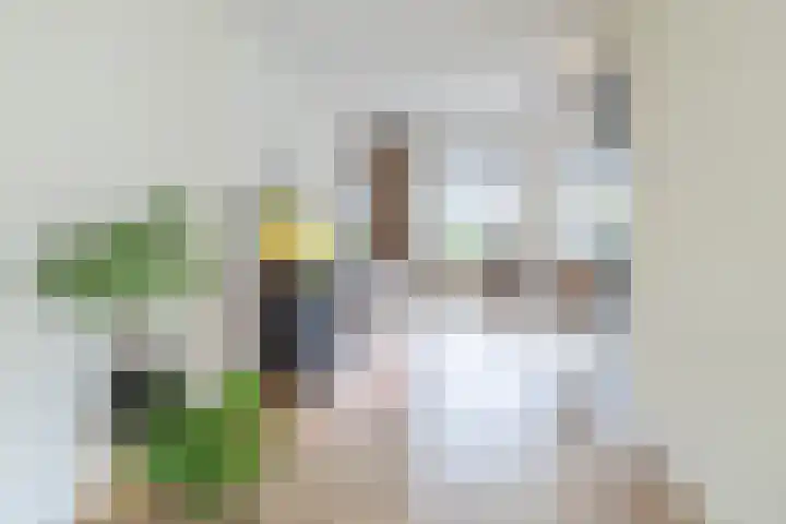 Toon Slurinkhof 30 Kampen thumbnail 18