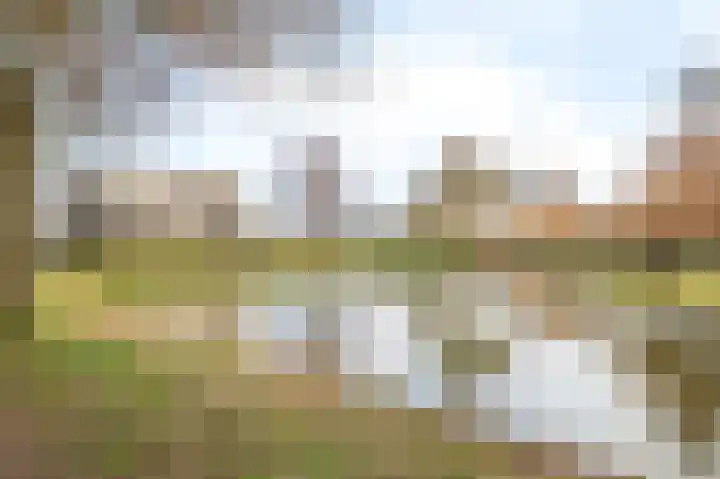 Toon Slurinkhof 30 Kampen thumbnail 45