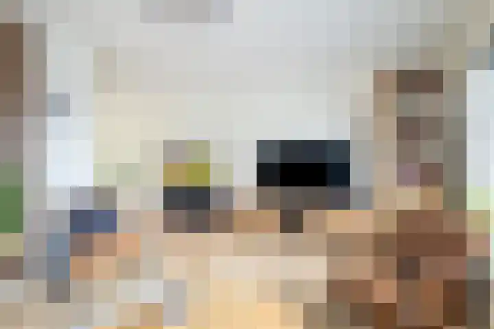 Toon Slurinkhof 30 Kampen thumbnail 7