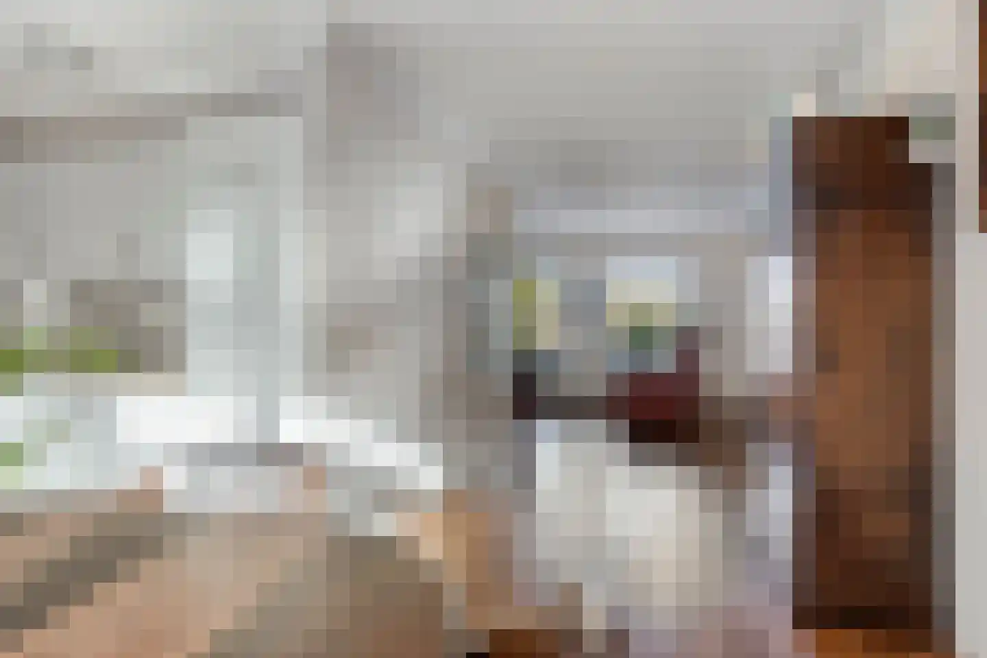 Toon Slurinkhof 32 Kampen thumbnail 13