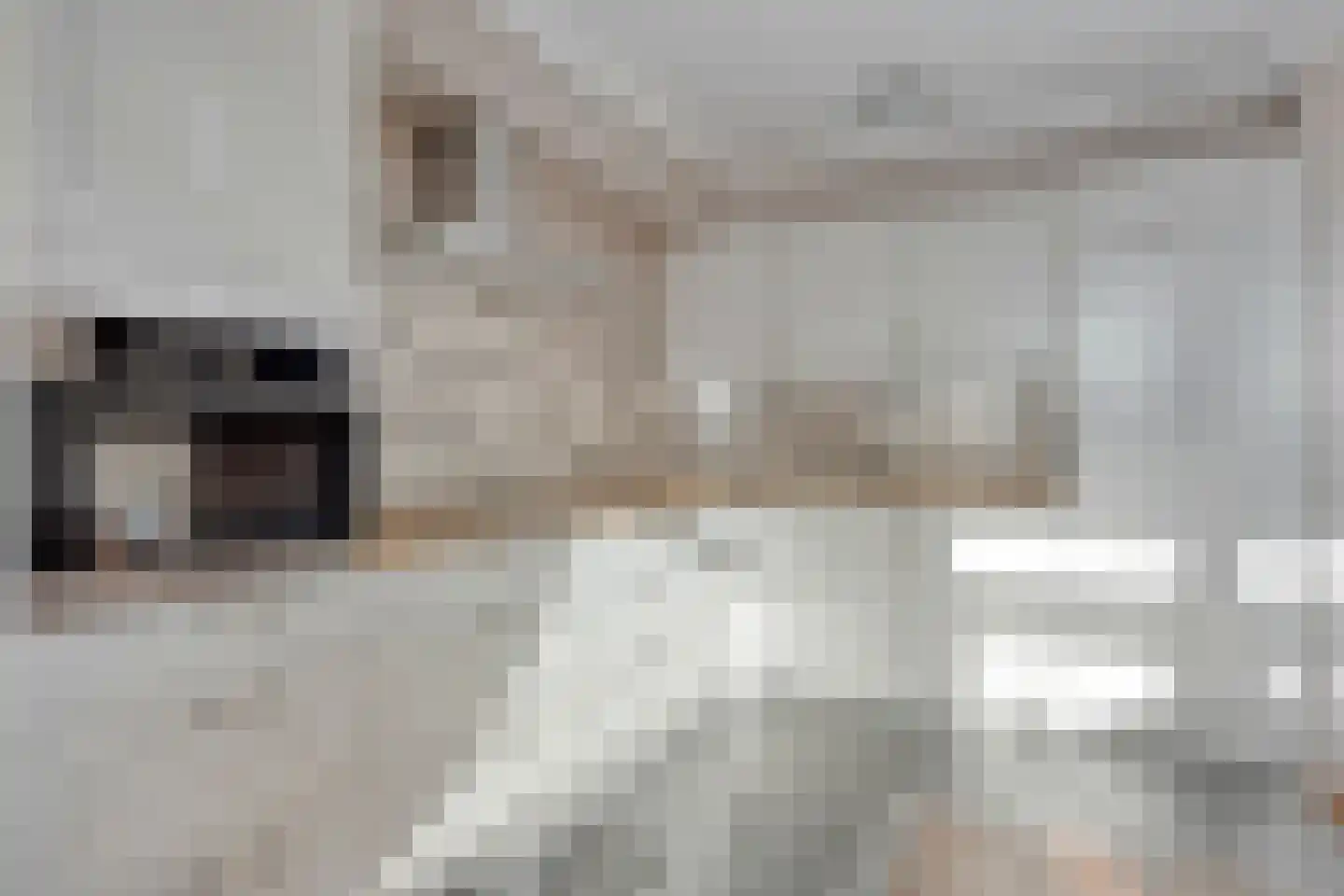 Toon Slurinkhof 32 Kampen thumbnail 14