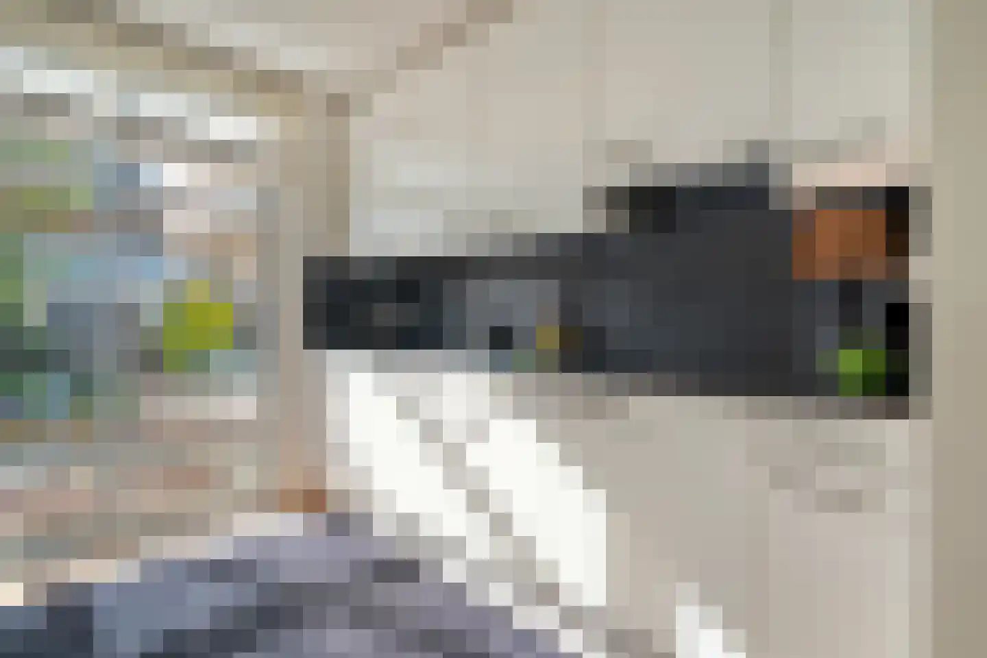 Toon Slurinkhof 36 Kampen thumbnail 13