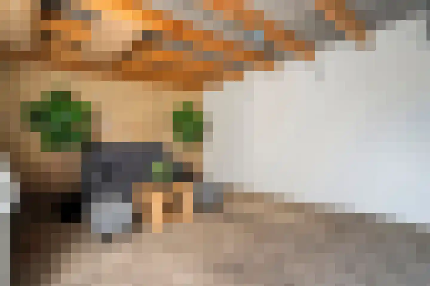 Toon Slurinkhof 36 Kampen thumbnail 27
